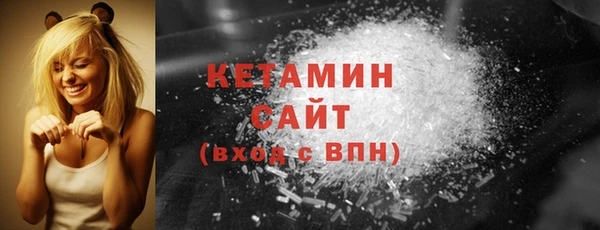 СК Новодвинск