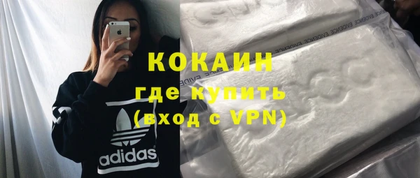 дживик Новозыбков