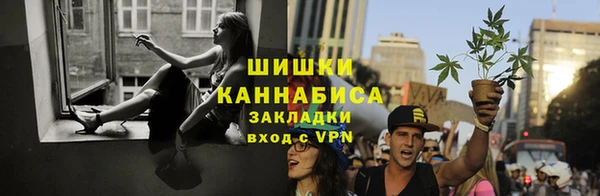 СК Новодвинск
