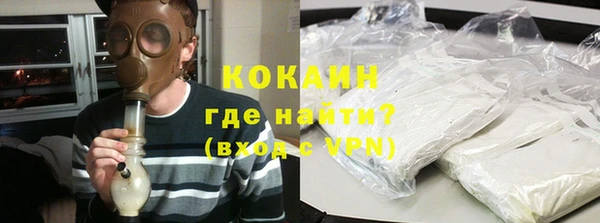 дживик Новозыбков