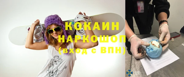 СК Новодвинск