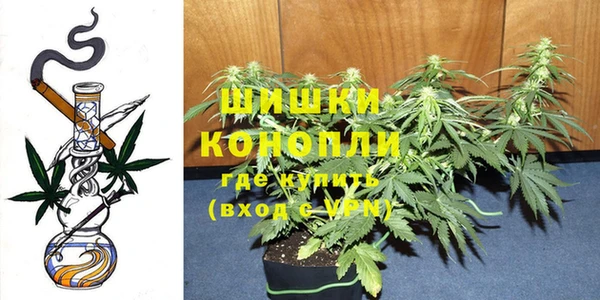 марихуана Новокубанск