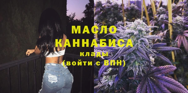 СК Новодвинск