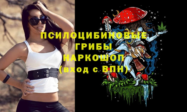 дживик Новозыбков