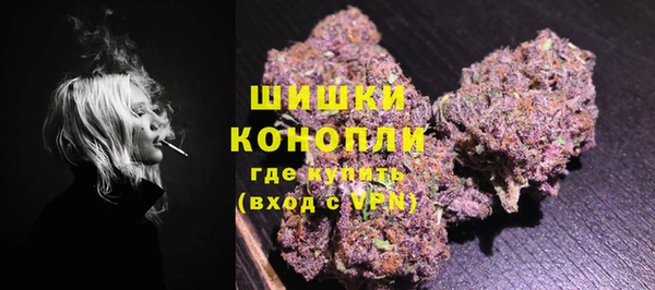дживик Новозыбков