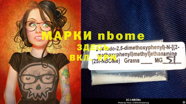 дживик Новозыбков