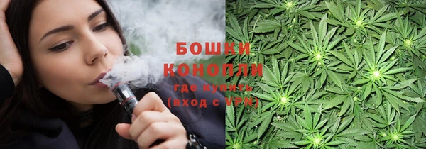 дживик Новозыбков