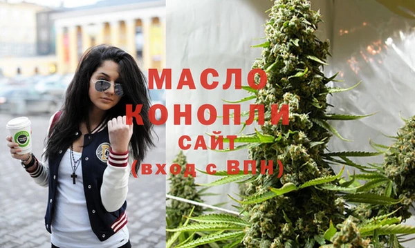 СК Новодвинск