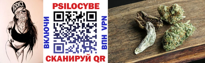 Псилоцибиновые грибы мицелий  Купить  Злынка 