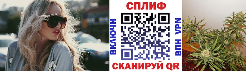 Купить где  Злынка  Канабис Amnesia 